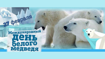 ДЕНЬ БЕЛОГО МЕДВЕДЯ ДЕНЬ БЕЛОГО МЕДВЕДЯ.